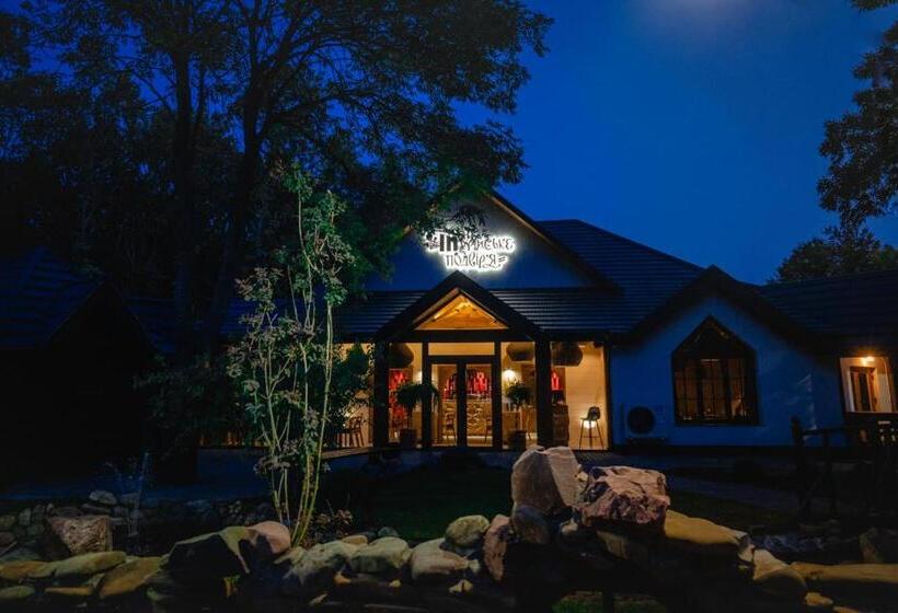 Отель Turiyske Podvir Ya