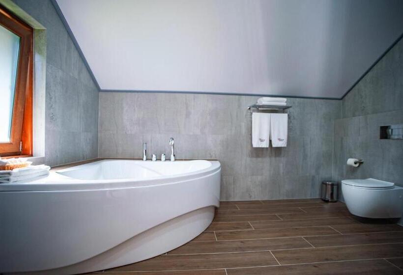 Отель Turiyske Podvir Ya