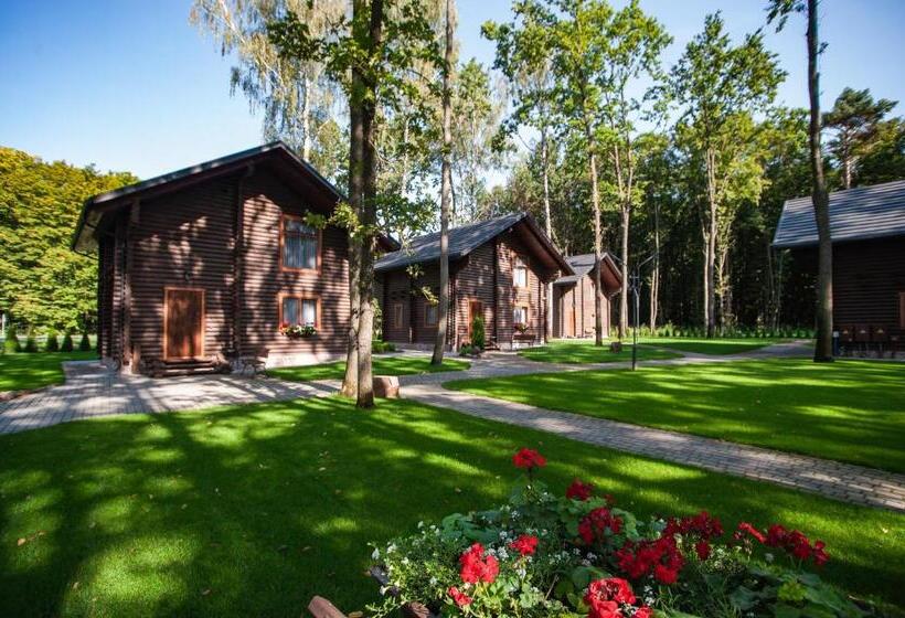 Отель Turiyske Podvir Ya