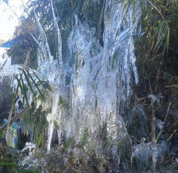 酒店 Vamoose Kunga Delek