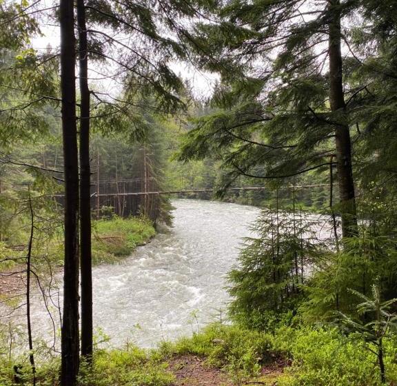 Отель Vilni Vitry