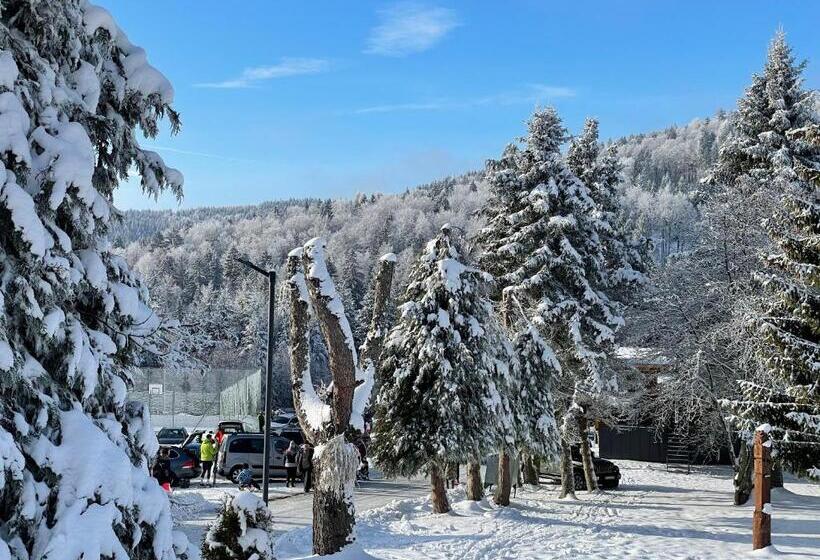 酒店 Zerrenpach Látky