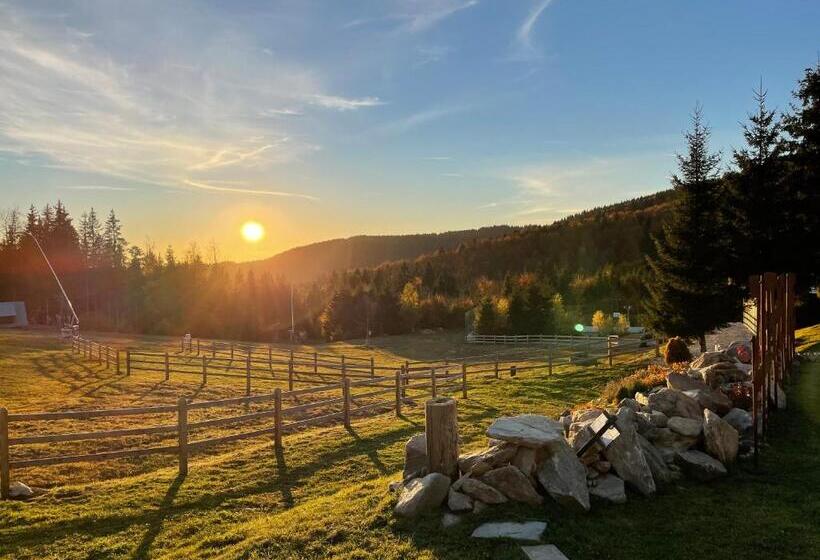 酒店 Zerrenpach Látky