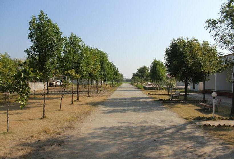 Little Rann Resort
