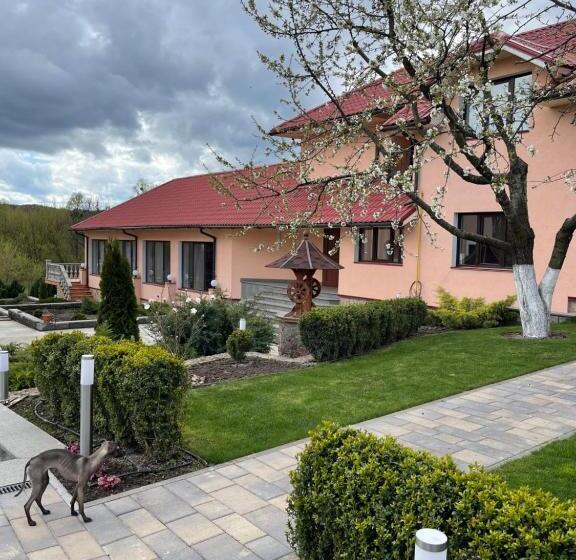 פנסיון приватний будинок для сімейного відпочинку з басейном і сауною
