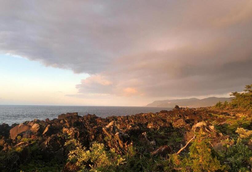 Pansiyon 伊道荘園