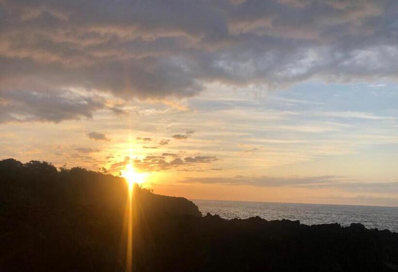 Pansiyon 伊道荘園