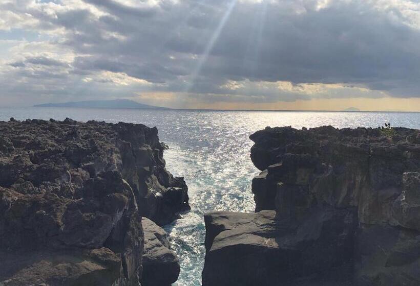 פנסיון 伊道荘園