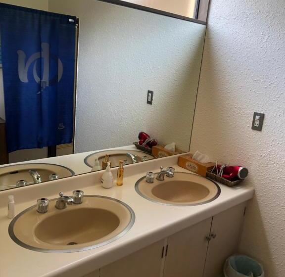 פנסיון 伊道荘園