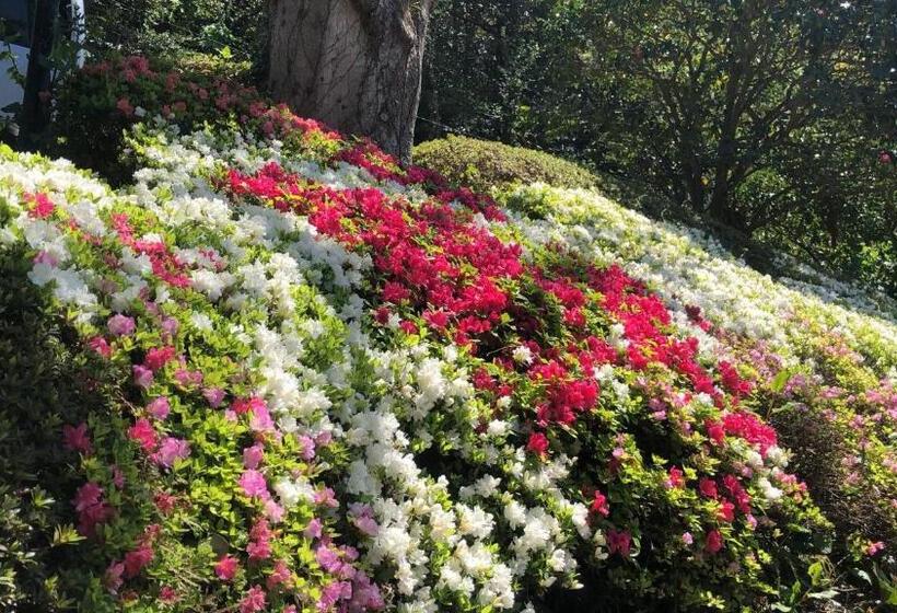 Pansiyon 伊道荘園