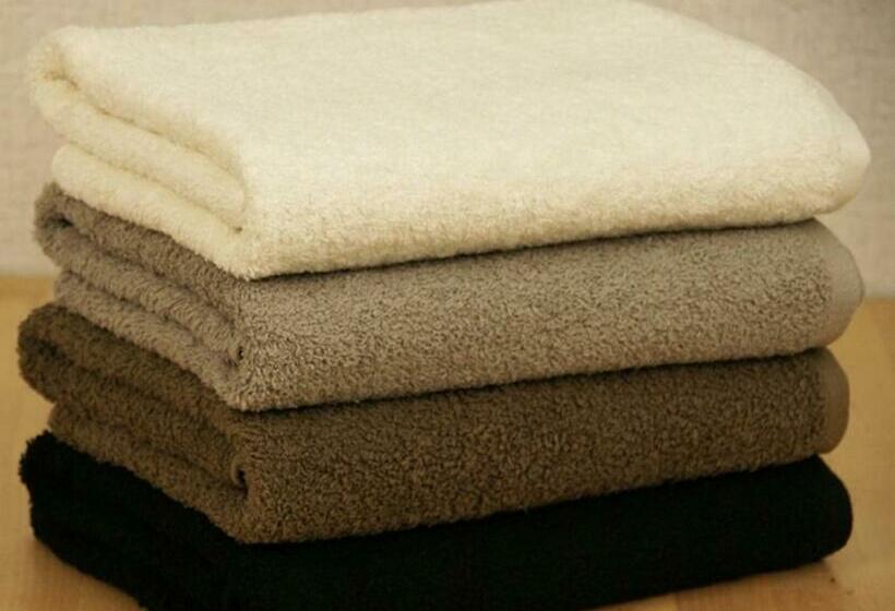 ペンション 堺のお宿 旧星賀亭