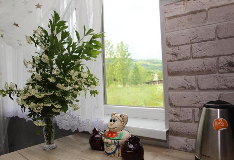 Pensió карпатське сяйво