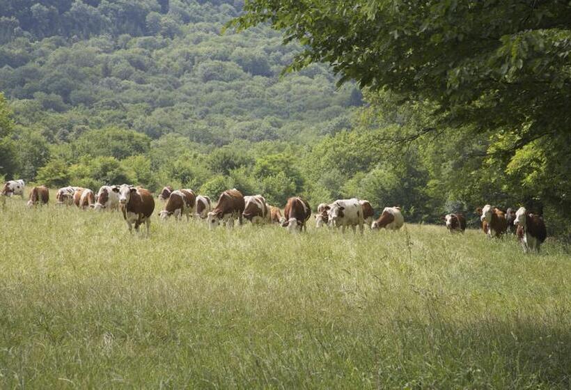 بنسيون Au Doubs Repos