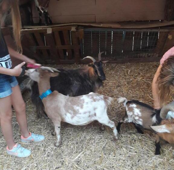 بنسيون Au Doubs Repos