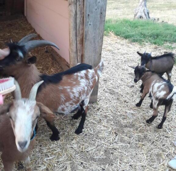 بنسيون Au Doubs Repos