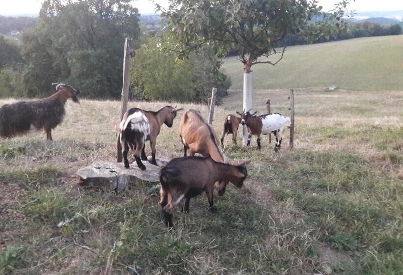 بنسيون Au Doubs Repos