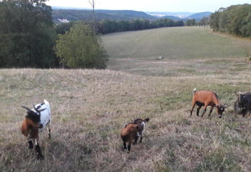 بنسيون Au Doubs Repos