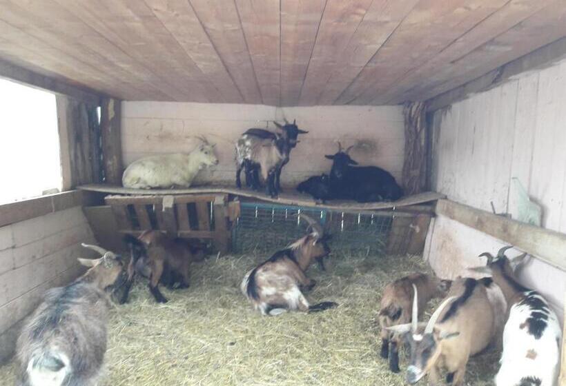 بنسيون Au Doubs Repos