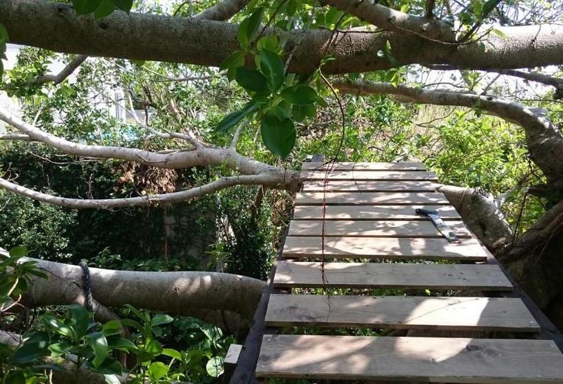 بنسيون 手広beachbackpackers