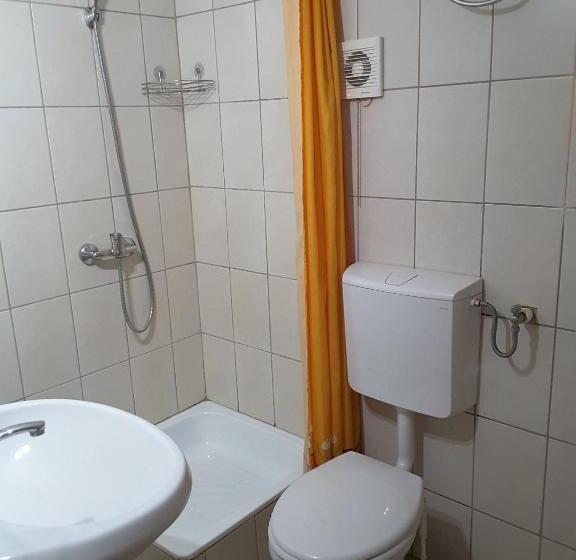 פנסיון Camere De Inchiriat Edelweiss