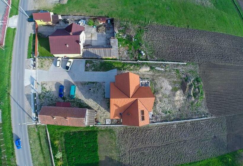 膳宿费 Casa Albă  Fehér Ház