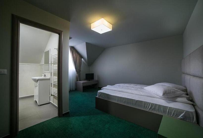 بنسيون Casa Budisteanu