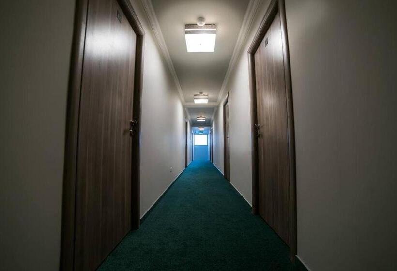 膳宿费 Casa Budisteanu