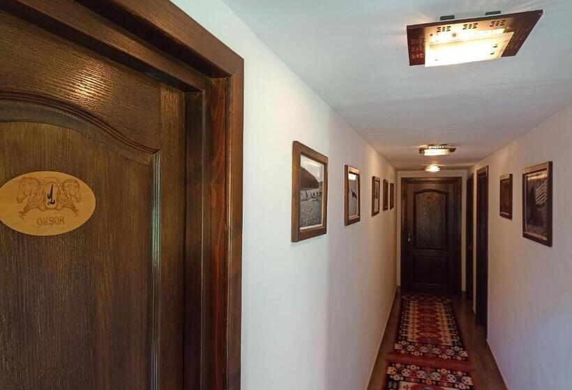 بنسيون Casa Din Plai   Bucovina