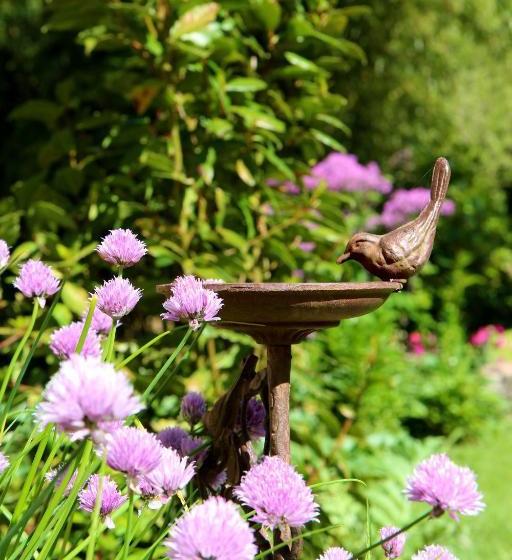 膳宿费 Chambres D’hôtes Du Presbytère