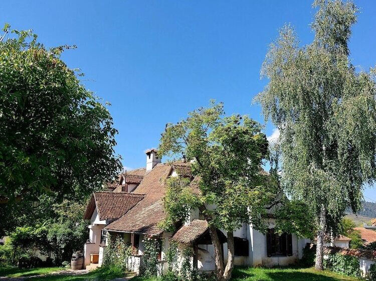ペンション Count Kálnoky S Transylvanian Guesthouses