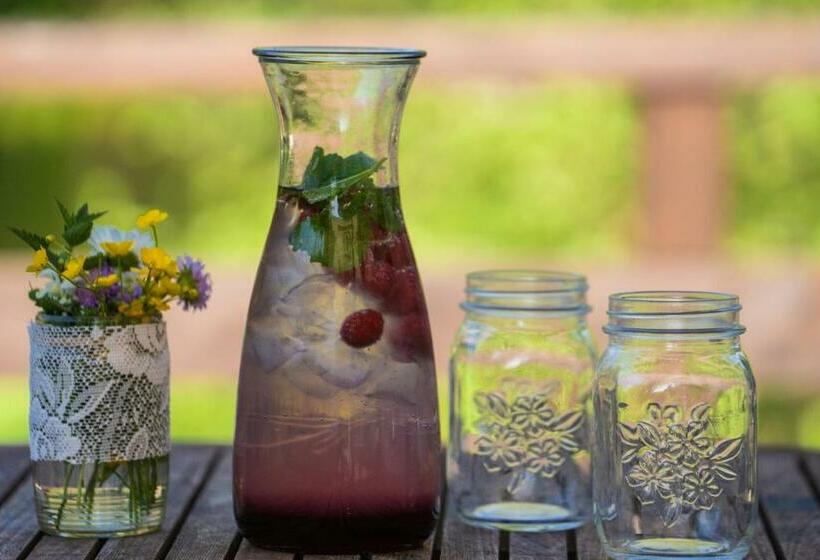 פנסיון Davidův Mlýn