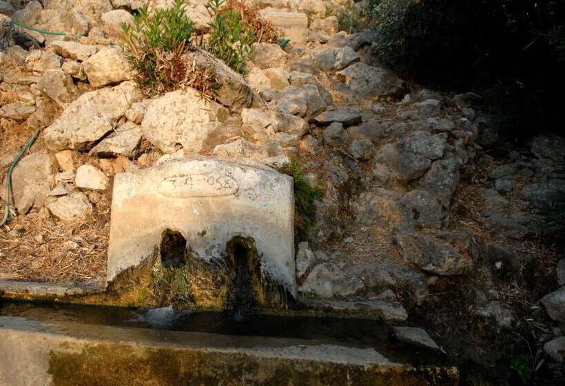 פנסיון Exclusive Boutique