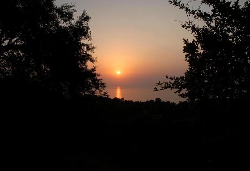 פנסיון Exclusive Boutique