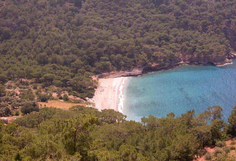 פנסיון Exclusive Boutique