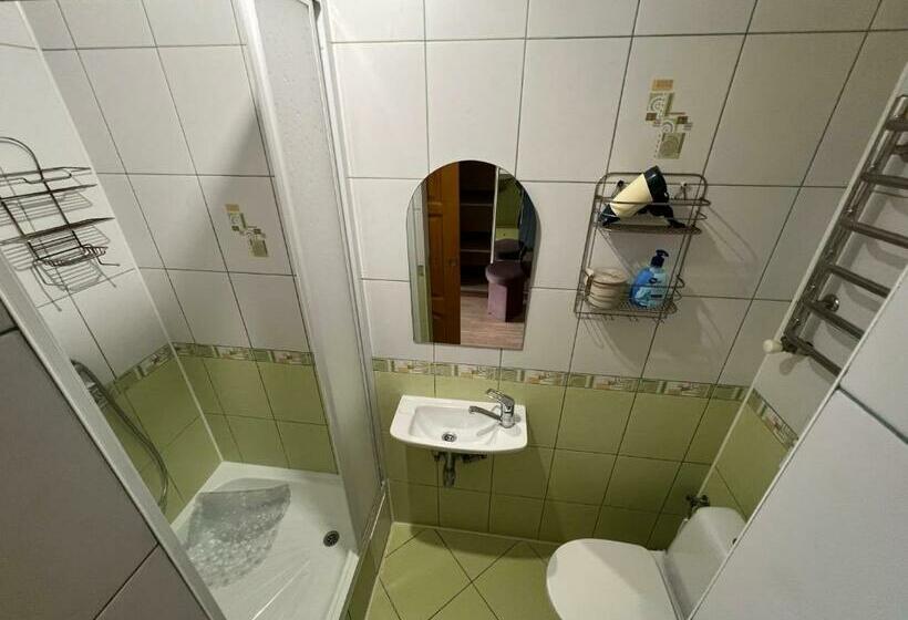 بنسيون Fortuna