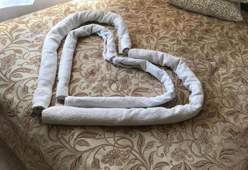 بنسيون Fortuna