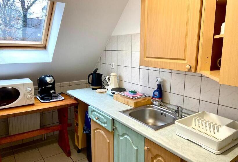 ペンション Goldschmiedt Vendégház