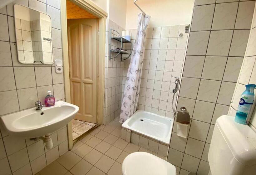 ペンション Goldschmiedt Vendégház