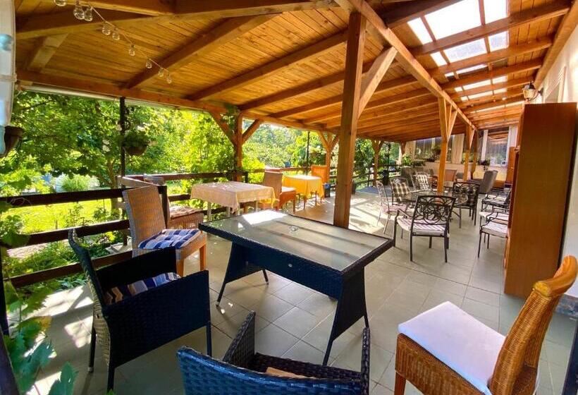 ペンション Goldschmiedt Vendégház