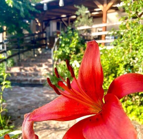 ペンション Goldschmiedt Vendégház