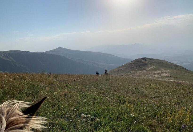 פנסיון Gomkers Guest House