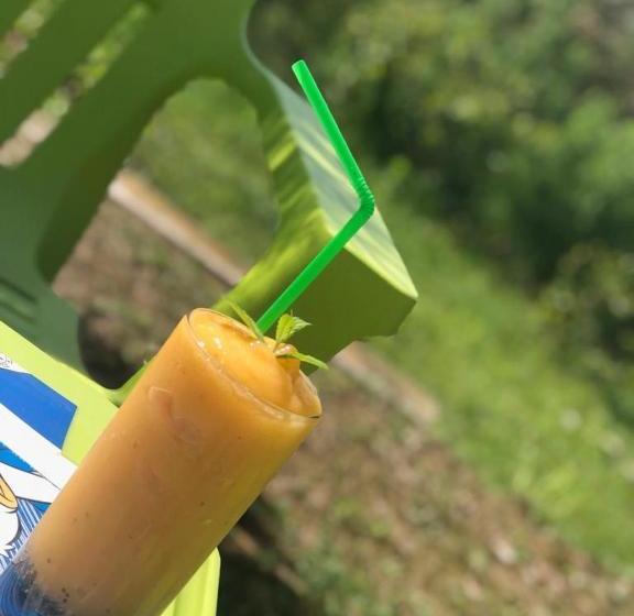 بنسيون Guesthouse Vila Melisa