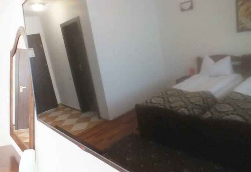 פנסיון Hanul Cocosul