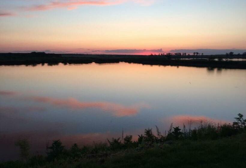 פנסיון Hanul Cocosul