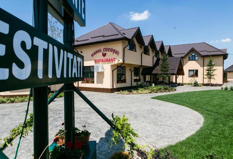 פנסיון Hanul Cocosul