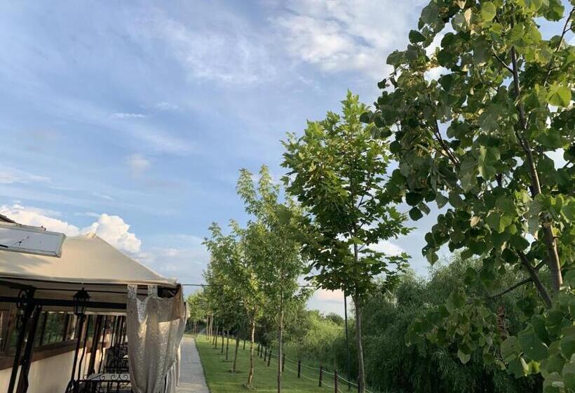 פנסיון Hanul Cocosul