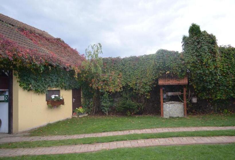 بنسيون La Mos Pavel