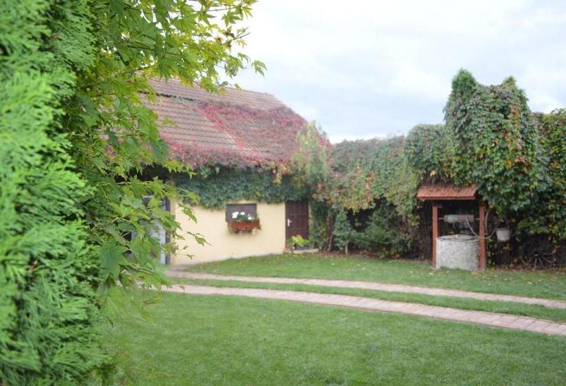 بنسيون La Mos Pavel