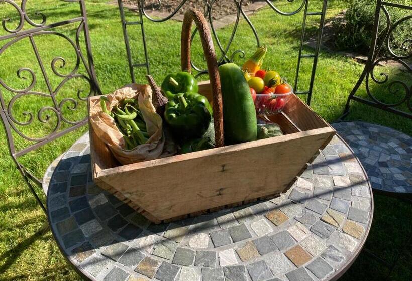 بنسيون Le Colombier De Hanches   Teritoria