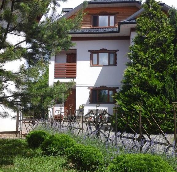 پانسیون коттедж Leleka Vyzhnynsia